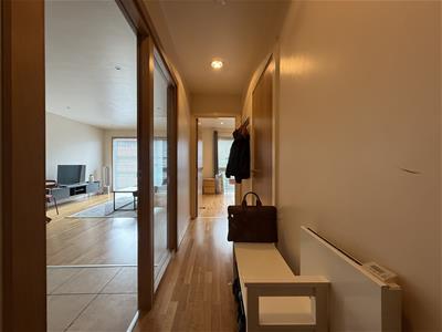 Picture 4